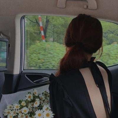 华盛顿的盔甲第一卷：旅程